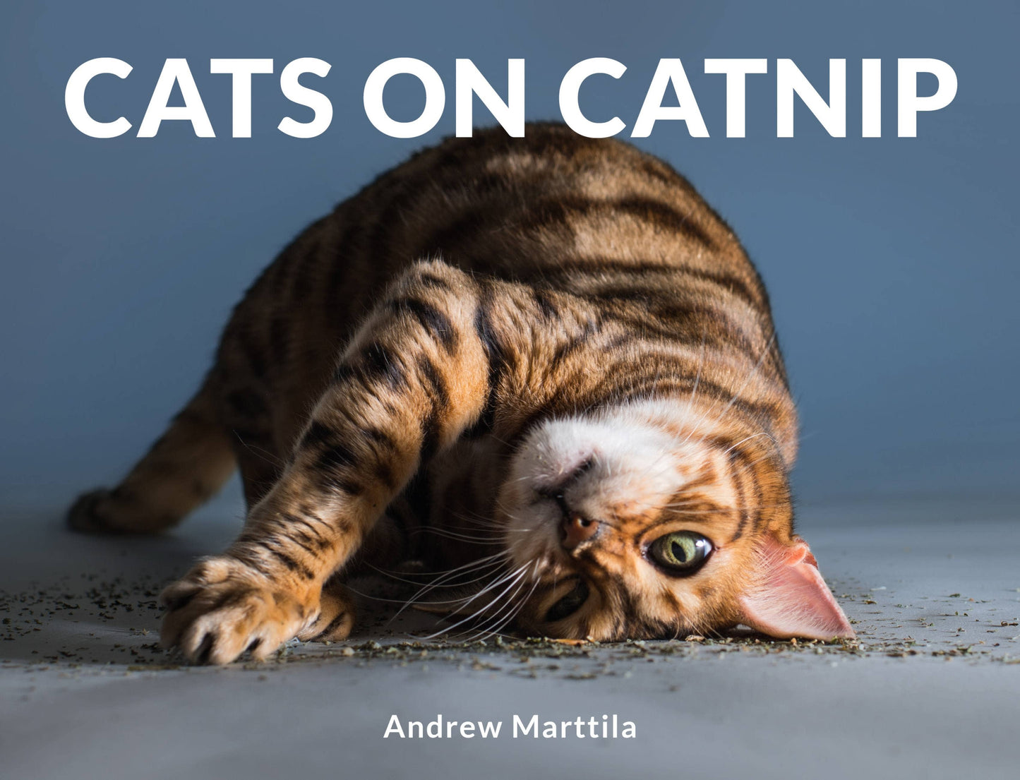 Cats on Catnip: Hardcover
