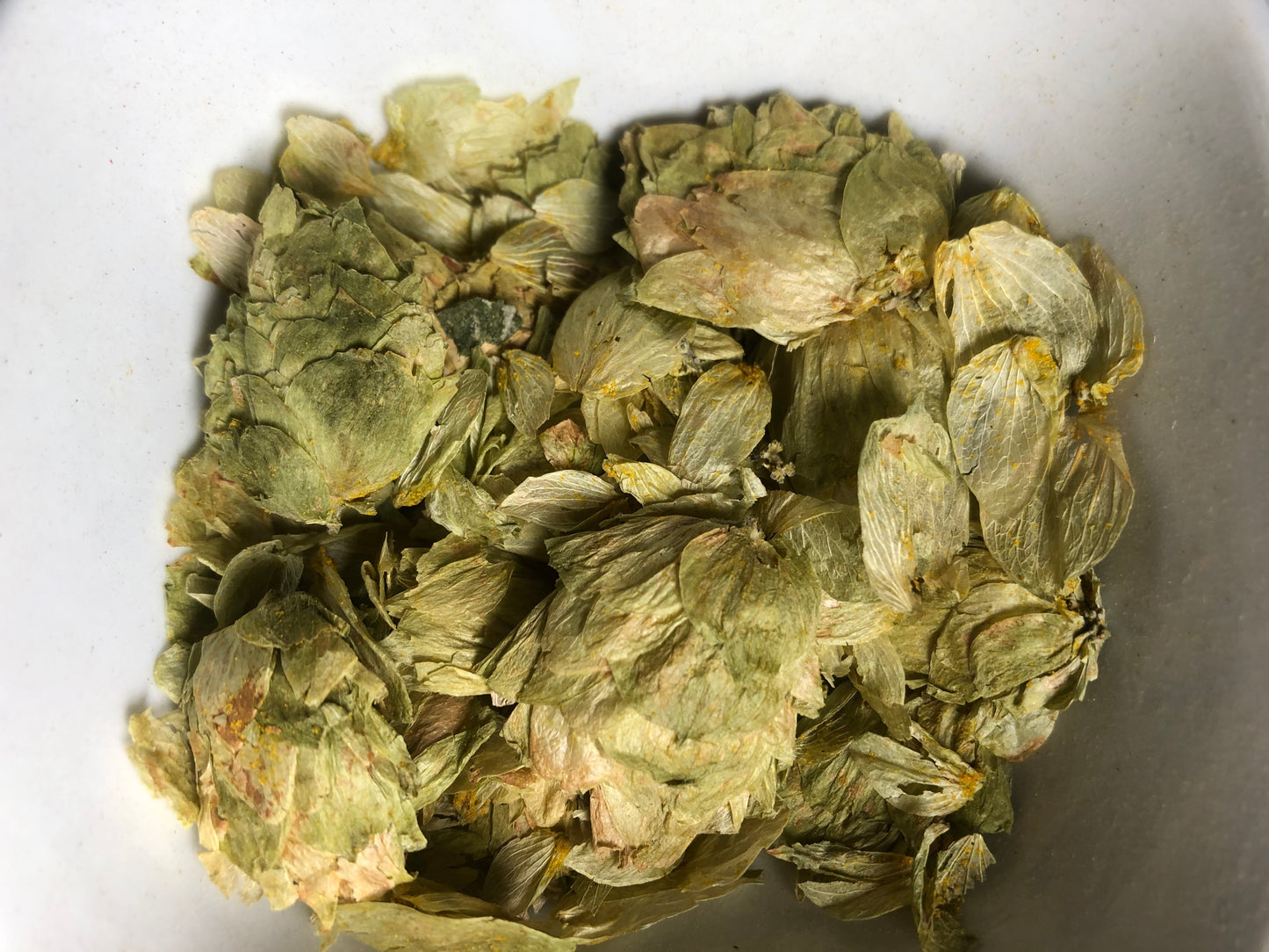 Hops