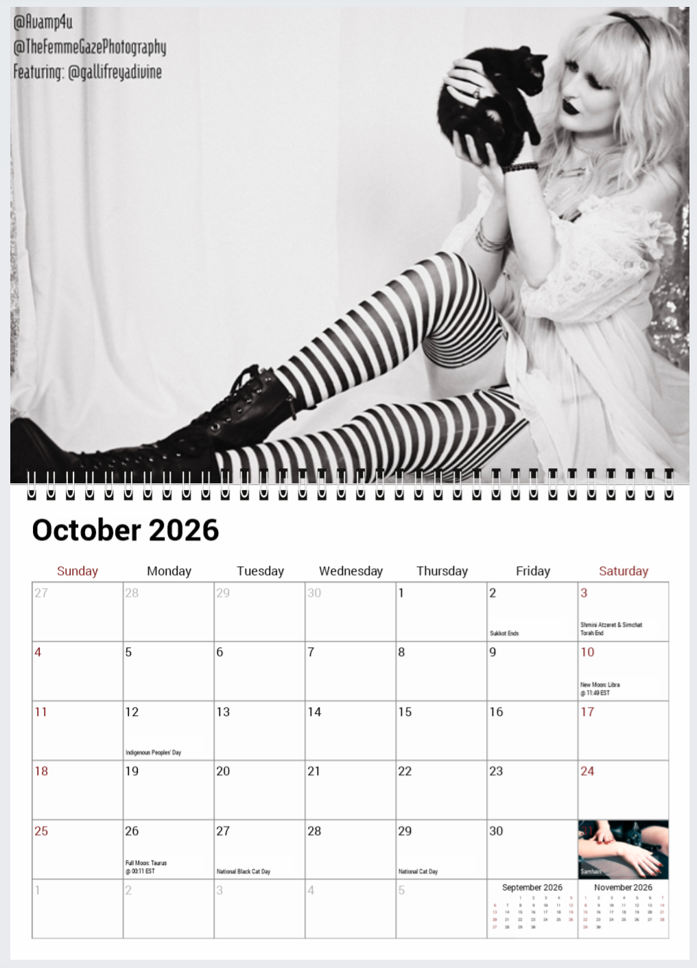 2026 Binx's Home for Black Cats Calendar