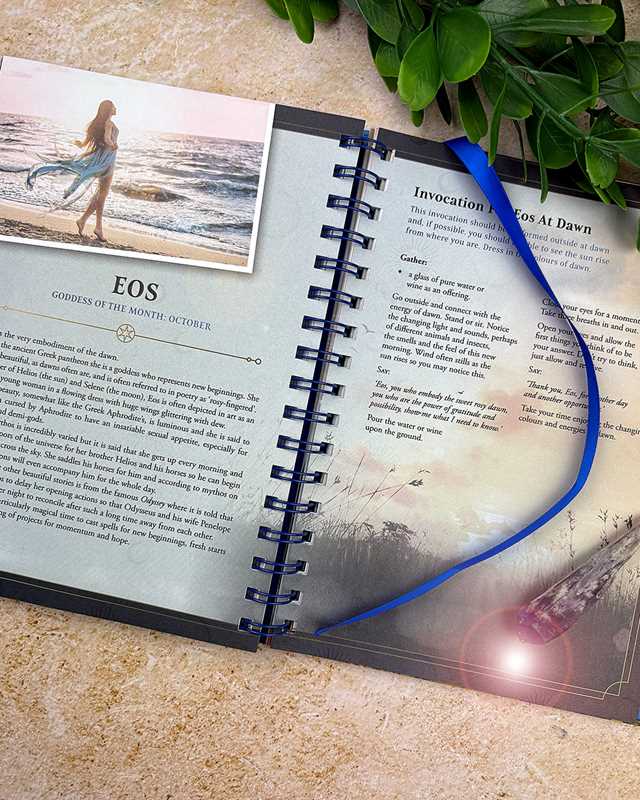 2027 Lunar and Seasonal Planner Calendar - Northern Hemisphere by Stacey Demarco: Calendar; 216 pages / English