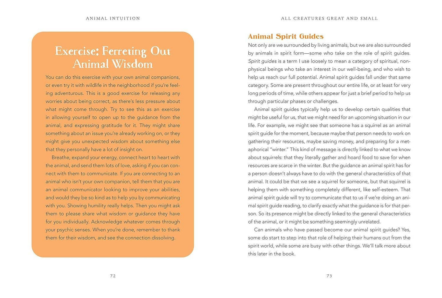 Animal Intuition: Communicating with Pets, Spirits & Energy: Hardcover