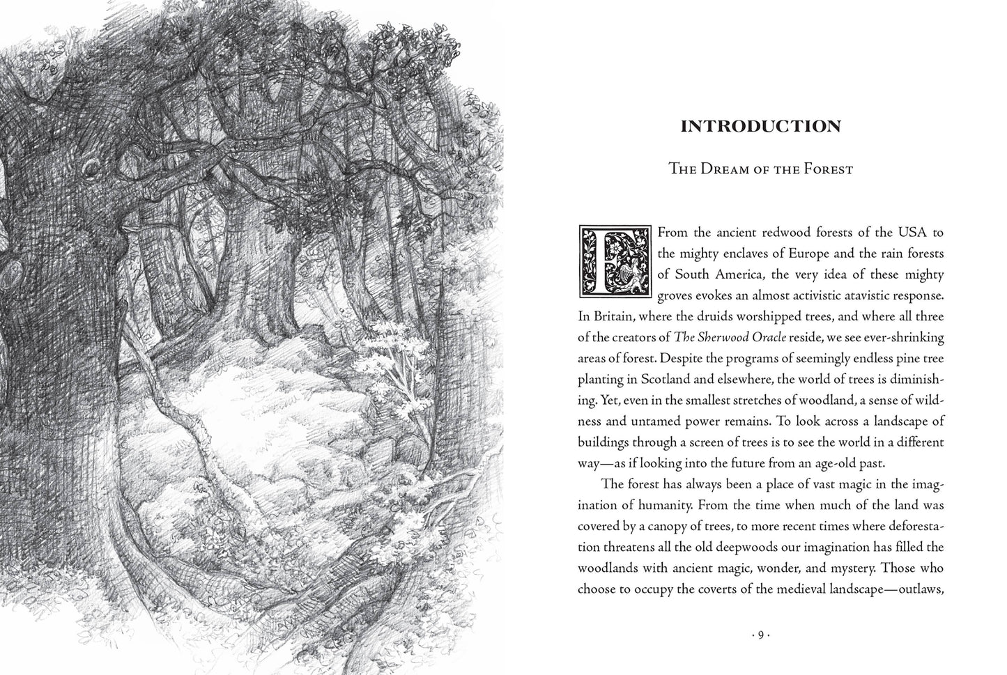 The Sherwood Oracle: Hidden Lore of the Wild Forest