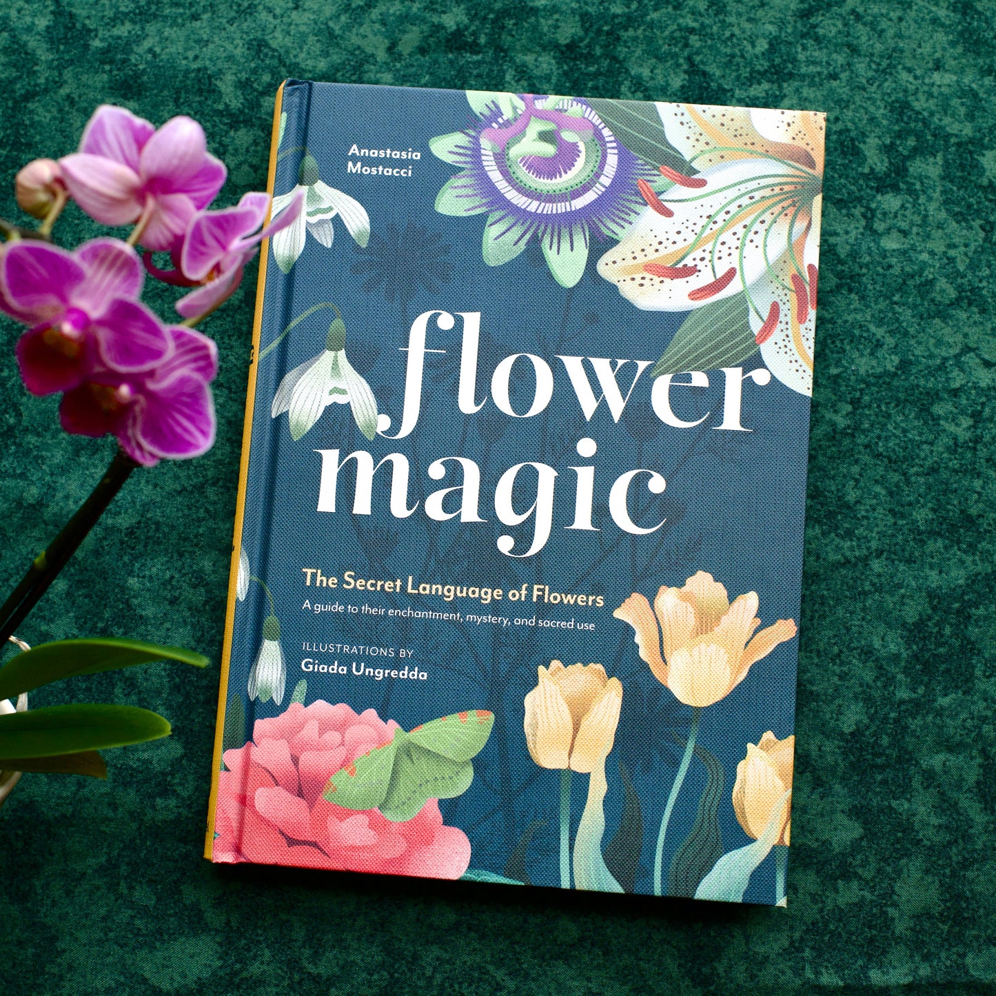 Flower Magic: The Secret Language of Flowers (Hardcover)