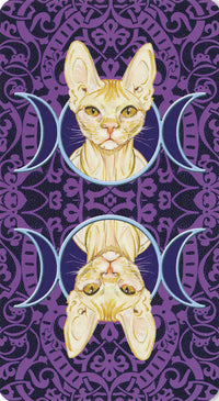 Tarot of Pagan Cats