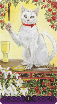 Tarot of Pagan Cats