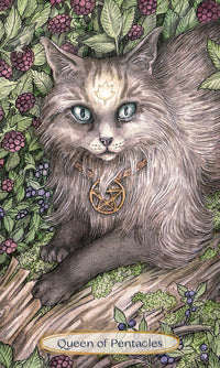 Soul Cats Tarot