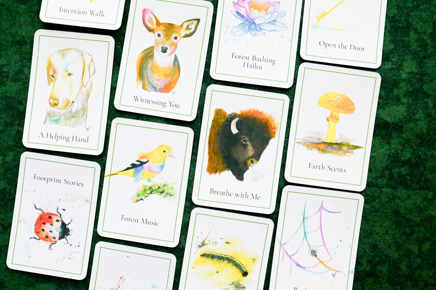 An Invitation to Forest Bathing: 52 Activity Cards