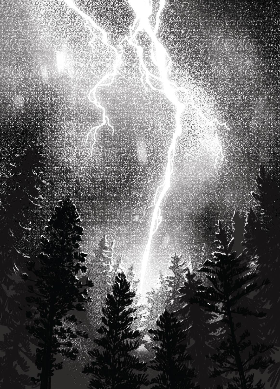 The Bloodlands Oracle