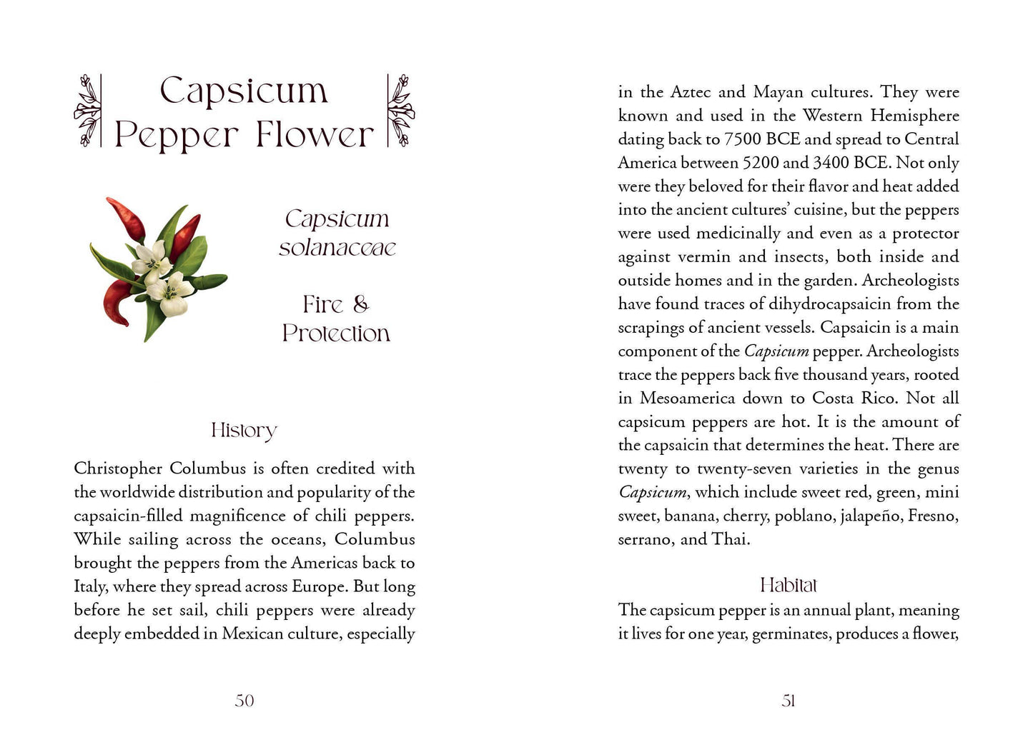 The Flowerwise Oracle