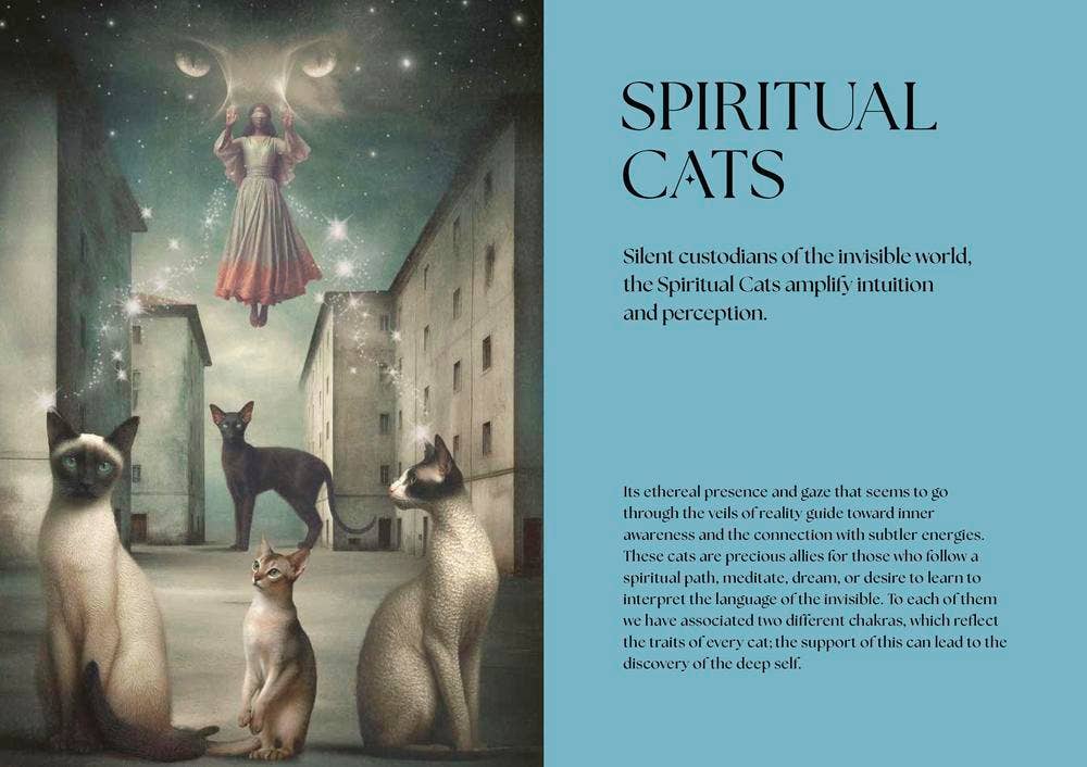 Cats, A Mystical Guide