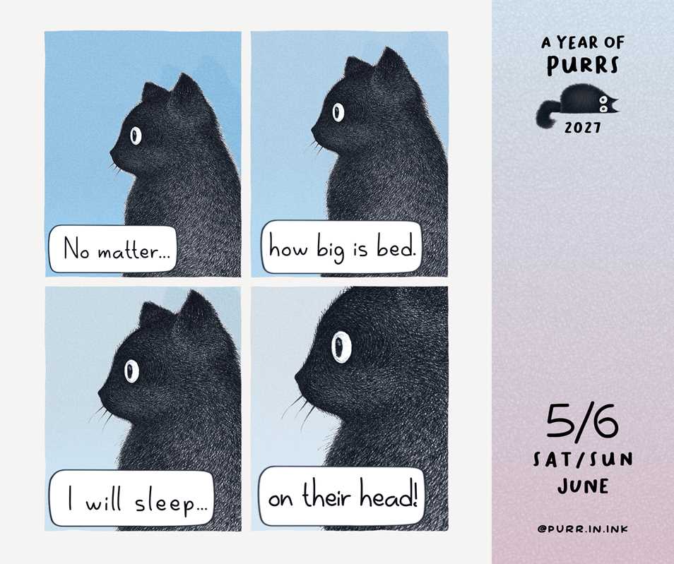 Year of Purrs 2027 Day-to-Day Calendar by Luis  Coelho: Calendar; 640 pages / English
