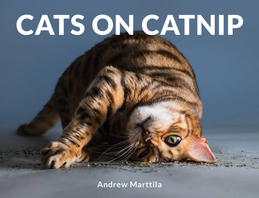 Cats on Catnip: Hardcover