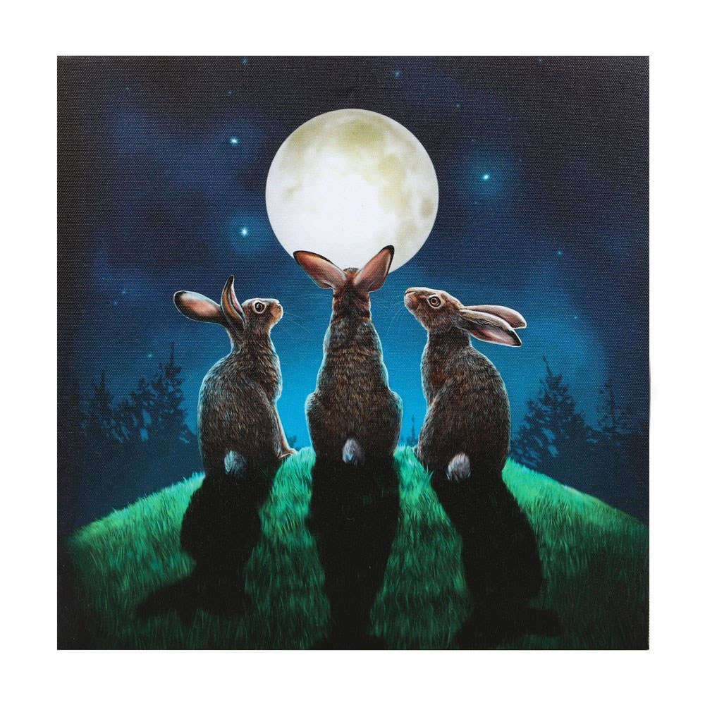 Moon Shadows Light Up Canvas Plaque by Lisa Parker