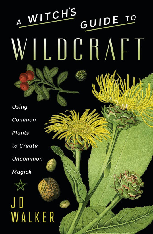 A Witch's Guide To Wildcraft