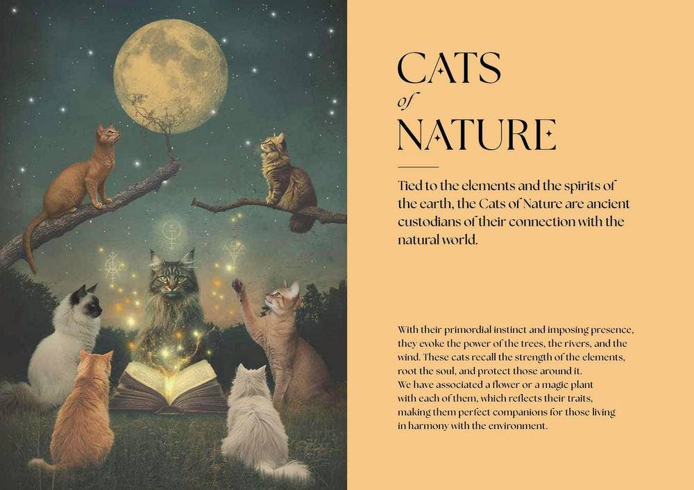 Cats, A Mystical Guide