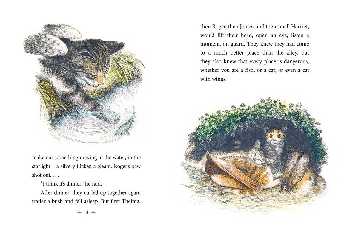 Catwings by Ursula  K. Le Guin: Paperback; 48 pages / English