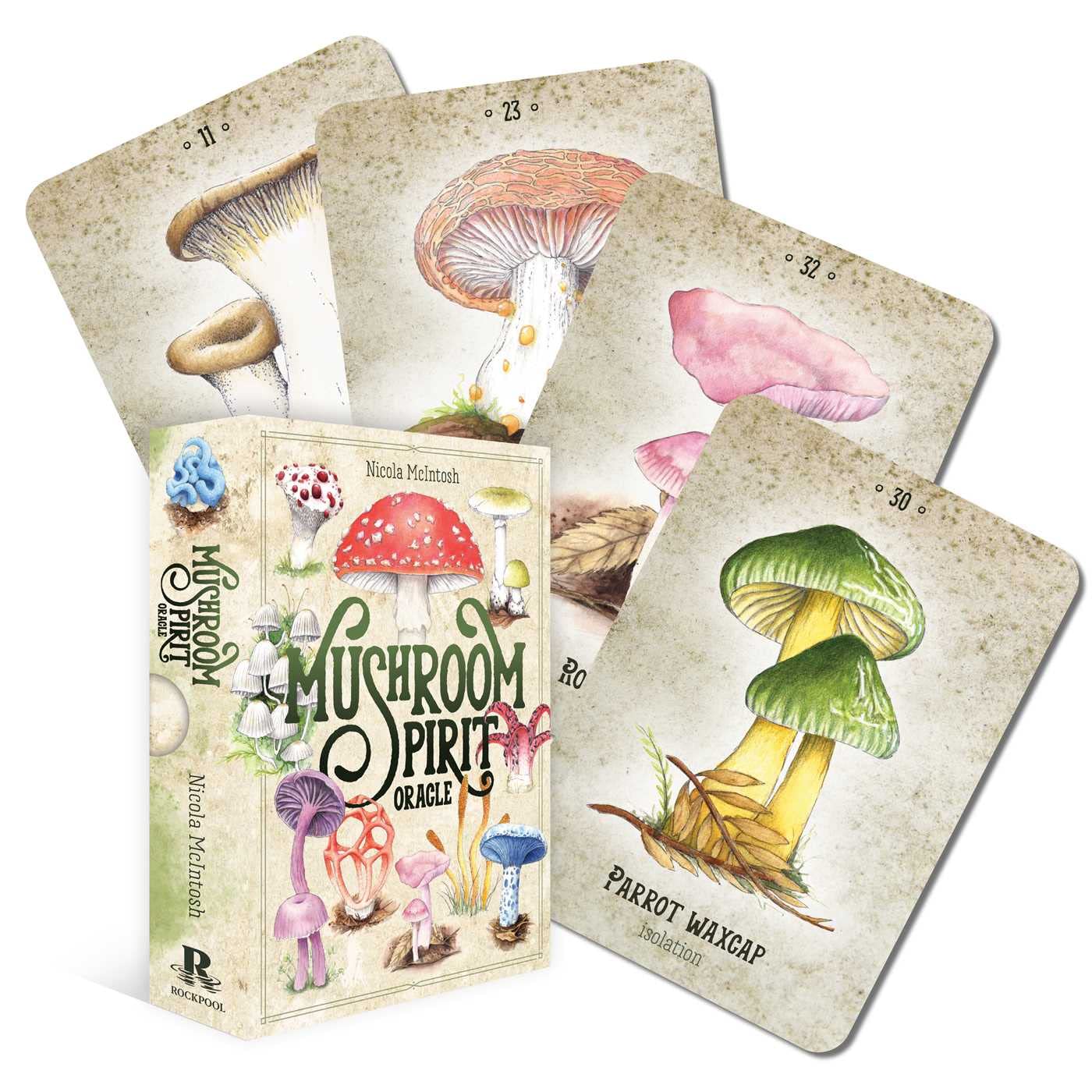 Mushroom Spirit Oracle(36 Cards & 112-Page Book)