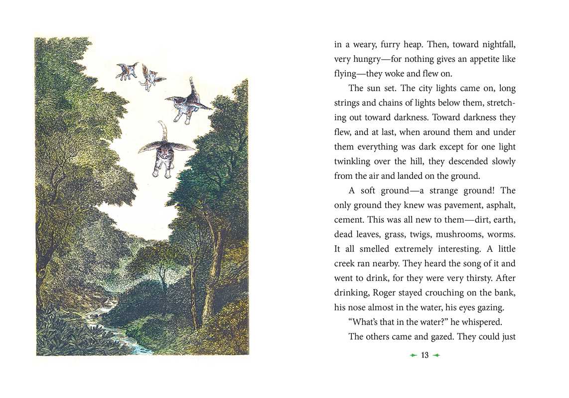 Catwings by Ursula  K. Le Guin: Paperback; 48 pages / English