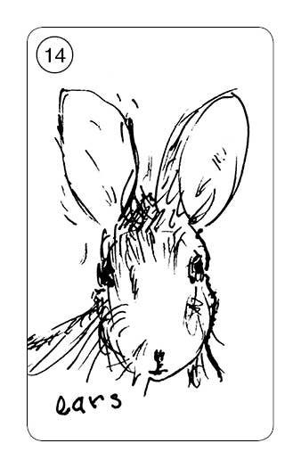 A black and white sketch of a rabbit's head is shown with large, prominently detailed ears. The number 14 is enclosed in a circle at the top left corner. Below the image, the word "ears" is handwritten, hinting at hidden rabbit wisdom within its intricate lines, just like the Carrot Cards: Old-Time Rabbit Wisdom by Red Feather.