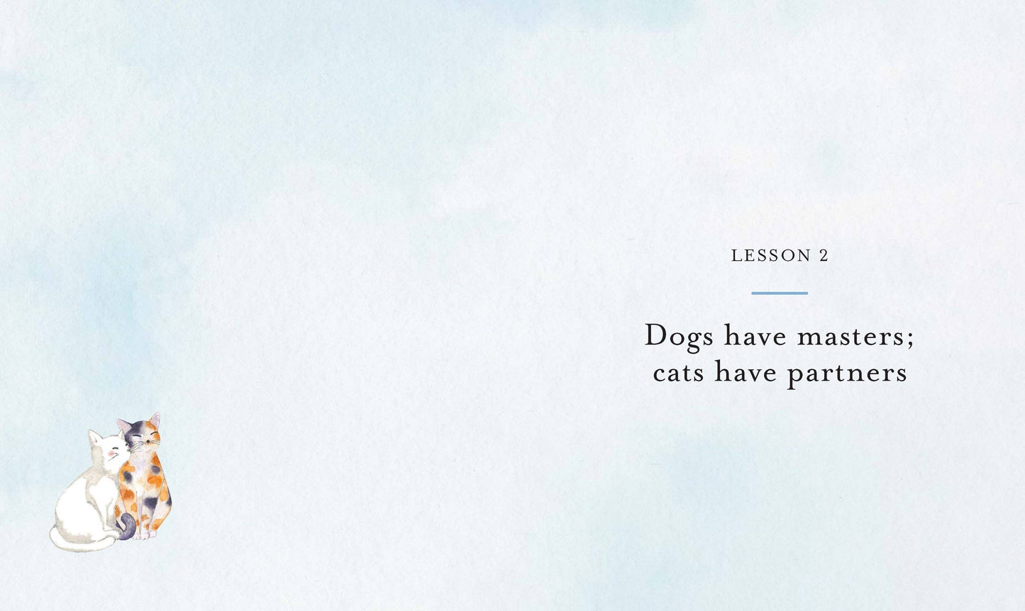 10 Spiritual Lessons You Can Learn from Your Cat: Hardcover