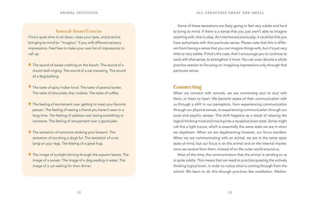 Animal Intuition: Communicating with Pets, Spirits & Energy: Hardcover