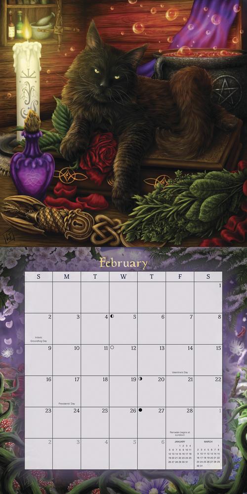 Llewellyn's Magical Mystical Cats 2025 Calendar