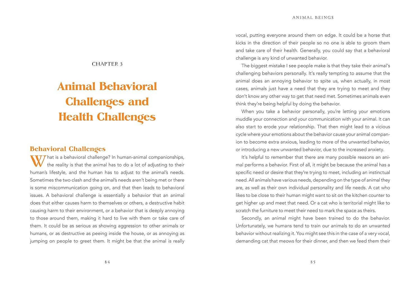 Animal Intuition: Communicating with Pets, Spirits & Energy: Hardcover