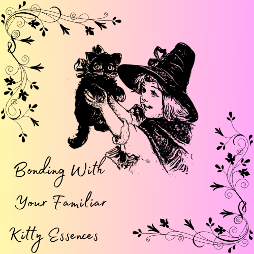 Bonding With Your Familiar: Kitty Essences