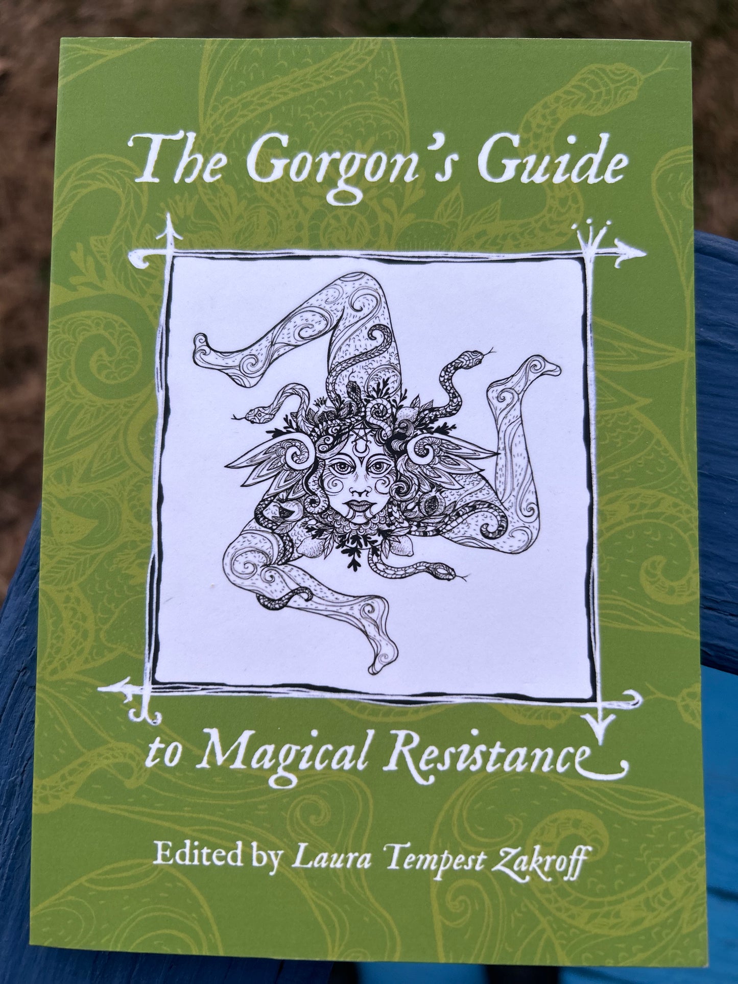 The Gorgon's Guide to Magical Resistance