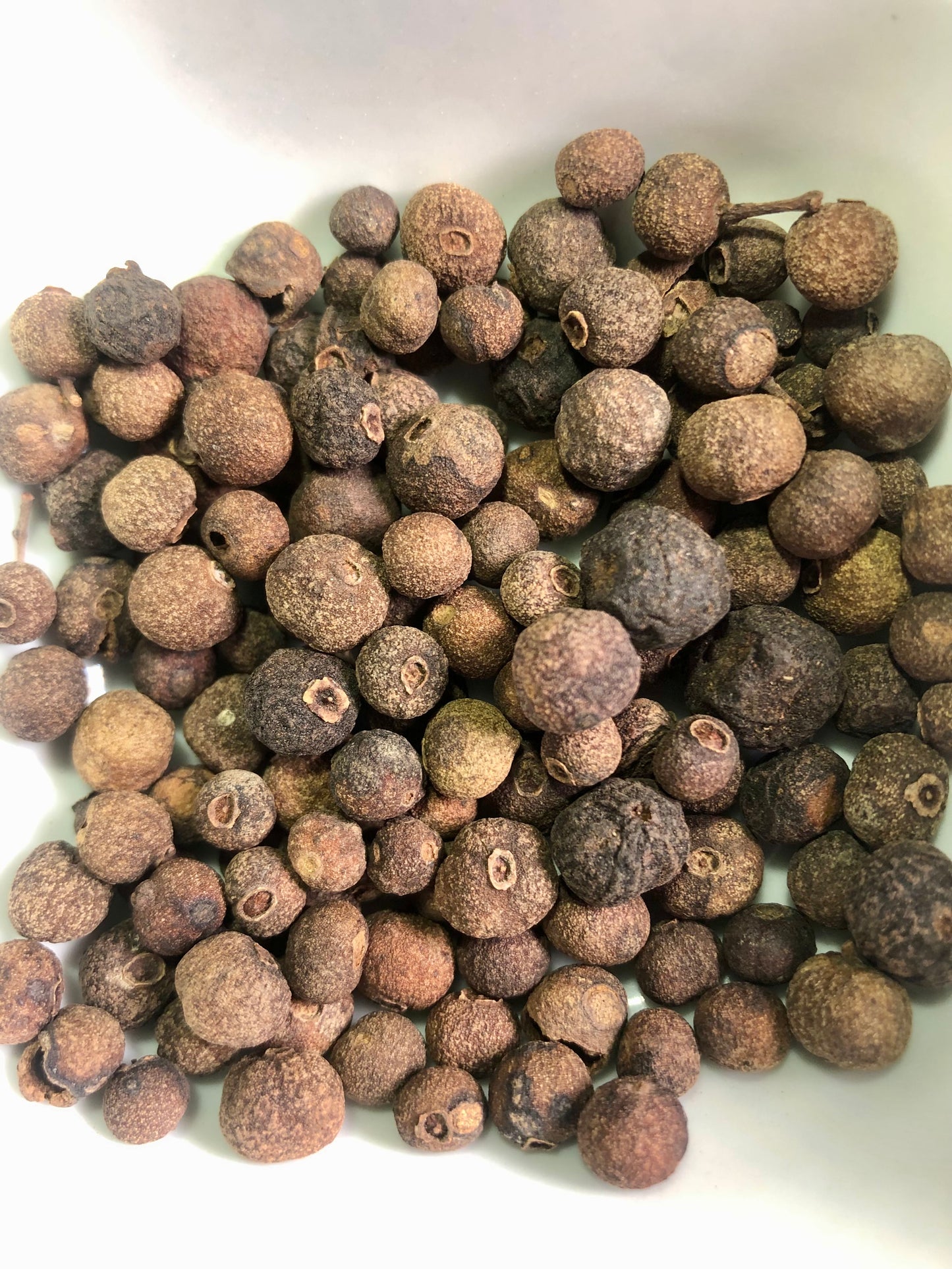 Allspice