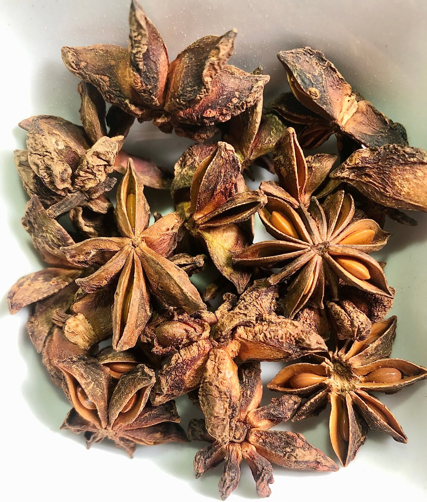 Anise (Star Anise)