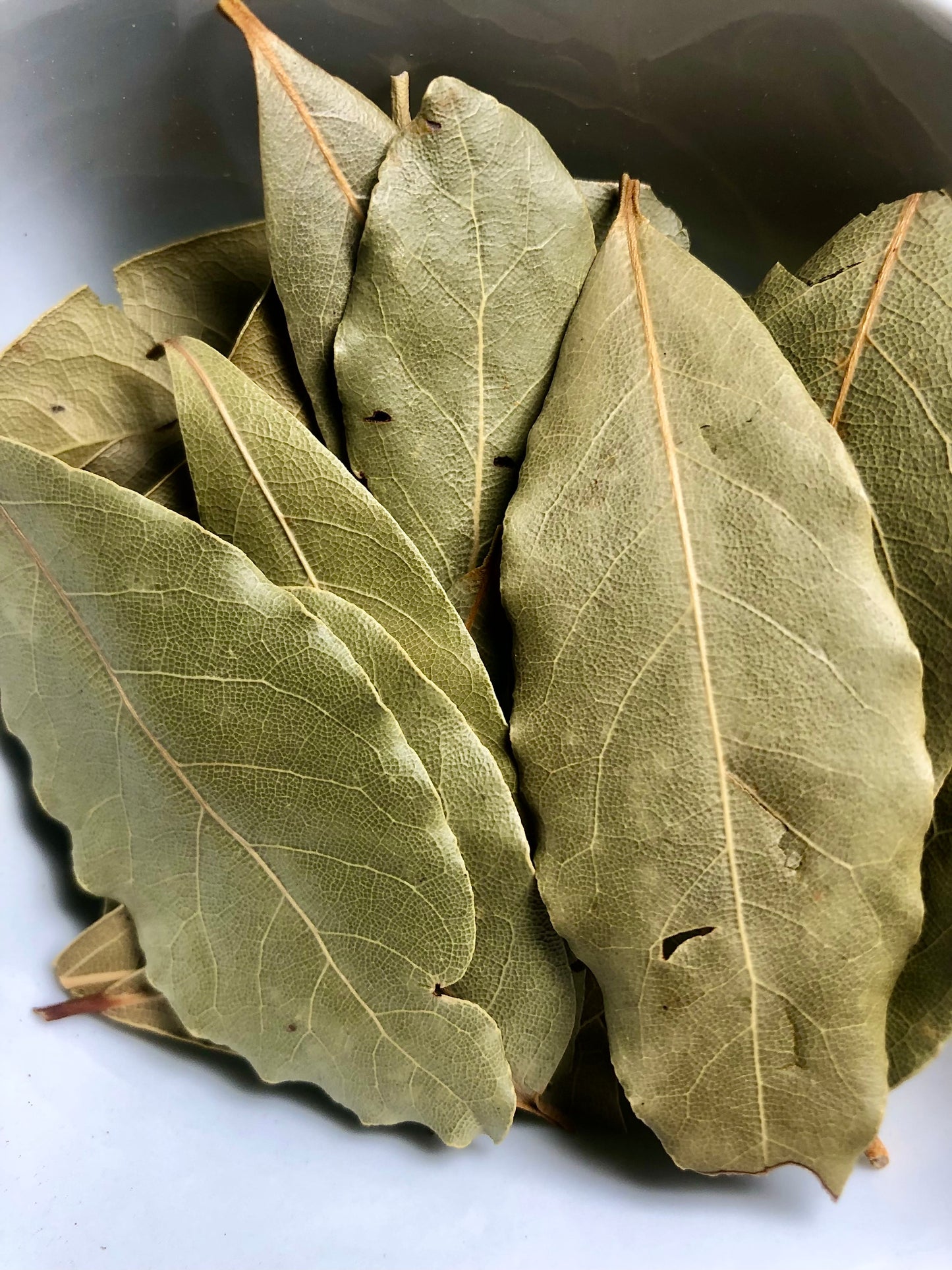 Bay Leaf