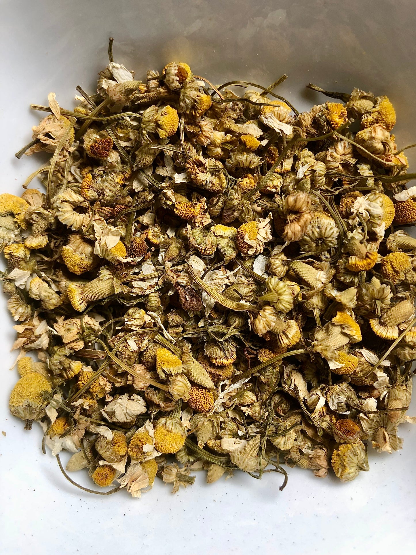 Chamomile (German)