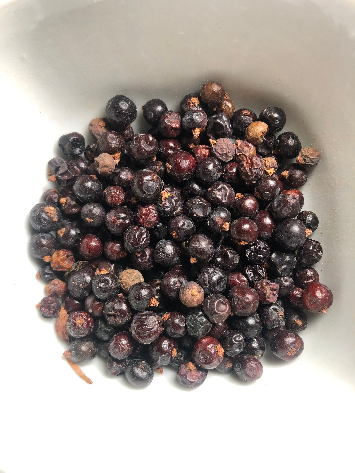 Juniper Berry