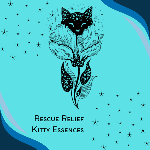 Rescue Relief: Kitty Essences