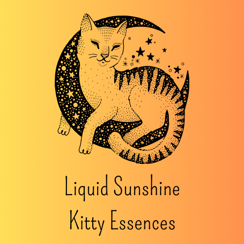 Liquid Sunshine: Kitty Essences