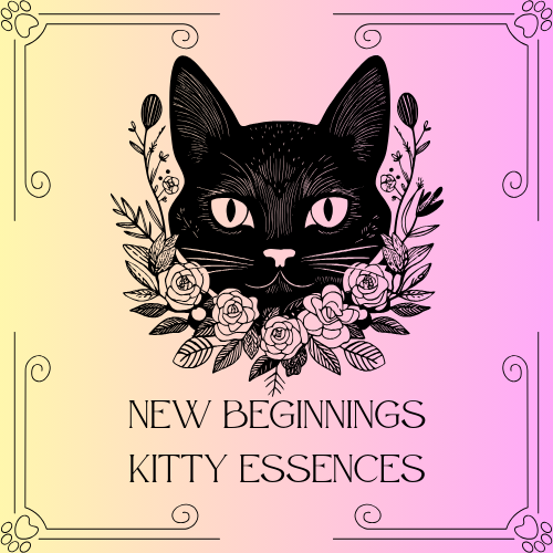New Beginnings: Kitty Essences