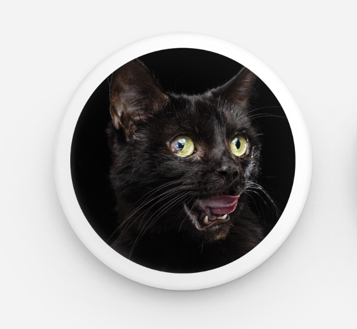 Alt Text: Karen the Cat Button featuring a charming design of a partially blind cat, Karen from the Black Cat Magic Docuseries. Keywords: "Karen the Cat Button, Karen button, cat button, Black Cat Magic button, docuseries merchandise, collectible cat button.