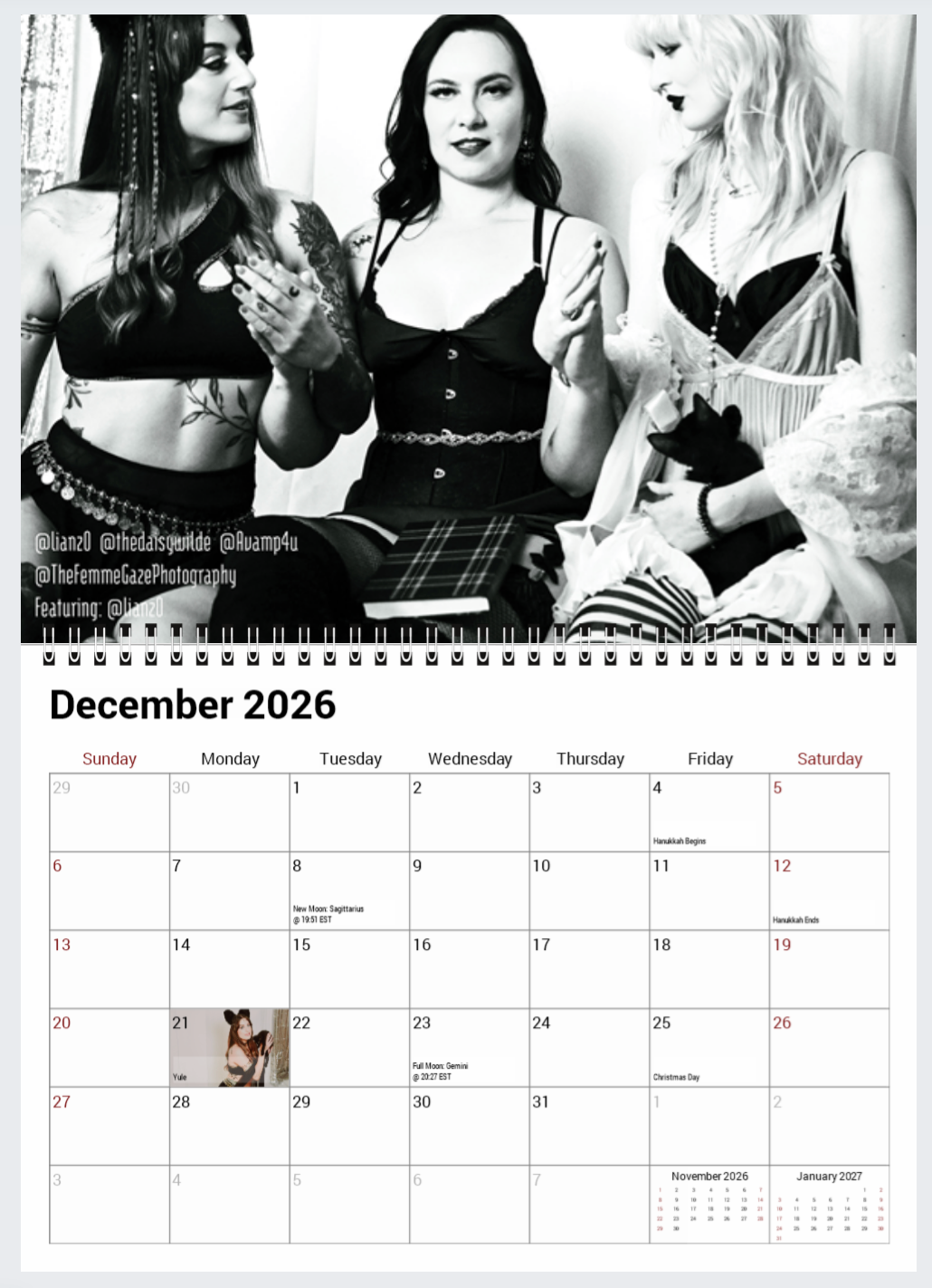 2026 Binx's Home for Black Cats Calendar