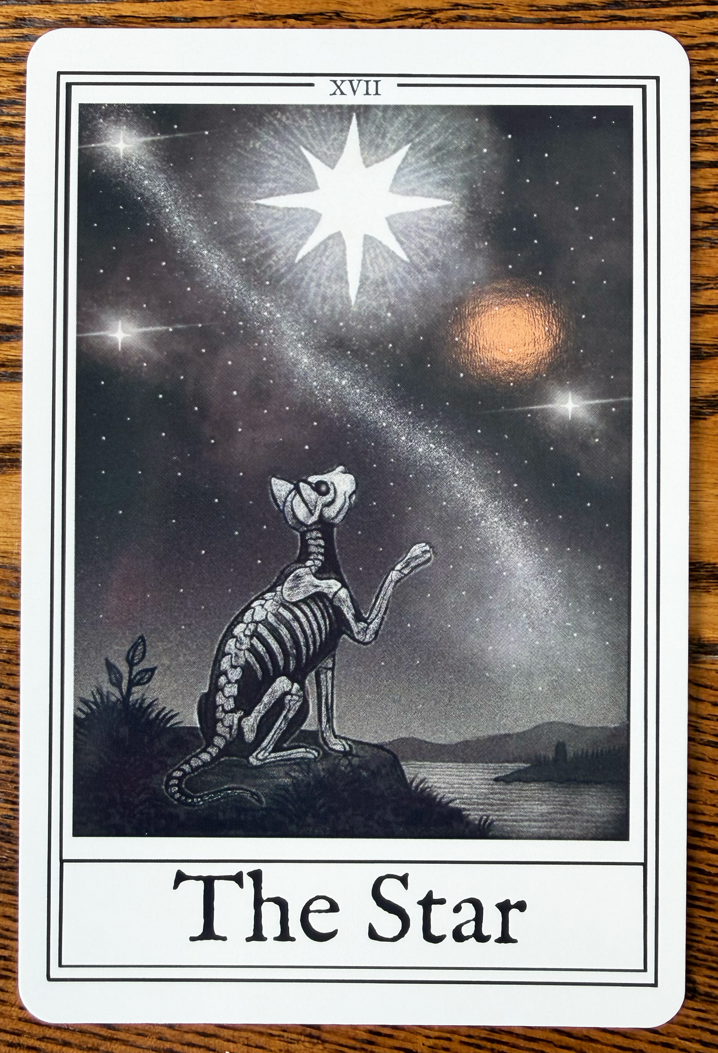 Tarot Series