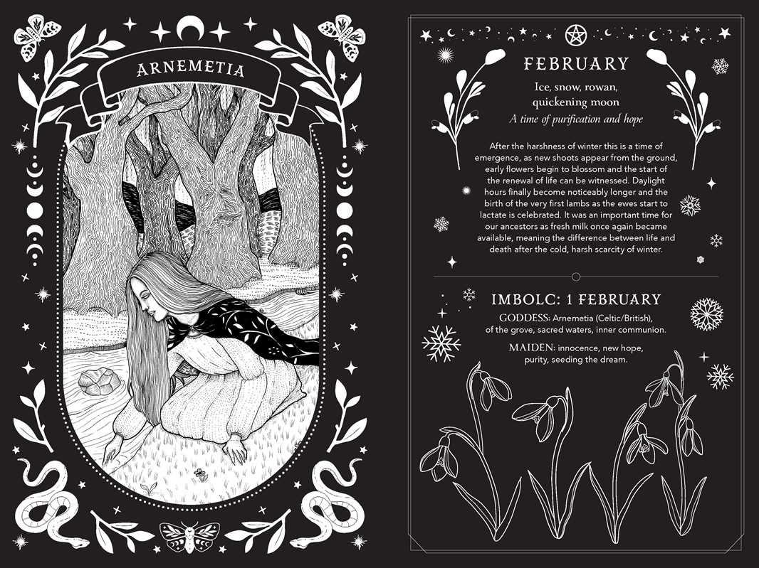 2027 Witch's Diary and Planner Calendar - Northern Hemisphere by Flavia  Kate Peters: Calendar; 160 pages / English