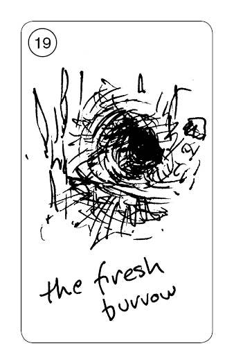 A black and white illustration with abstract lines forming a spiral shape occupies the center of the image. The text "Carrot Cards: Old-Time Rabbit Wisdom" is handwritten at the bottom of the card, and the number "19" is in a small circle at the top left corner.