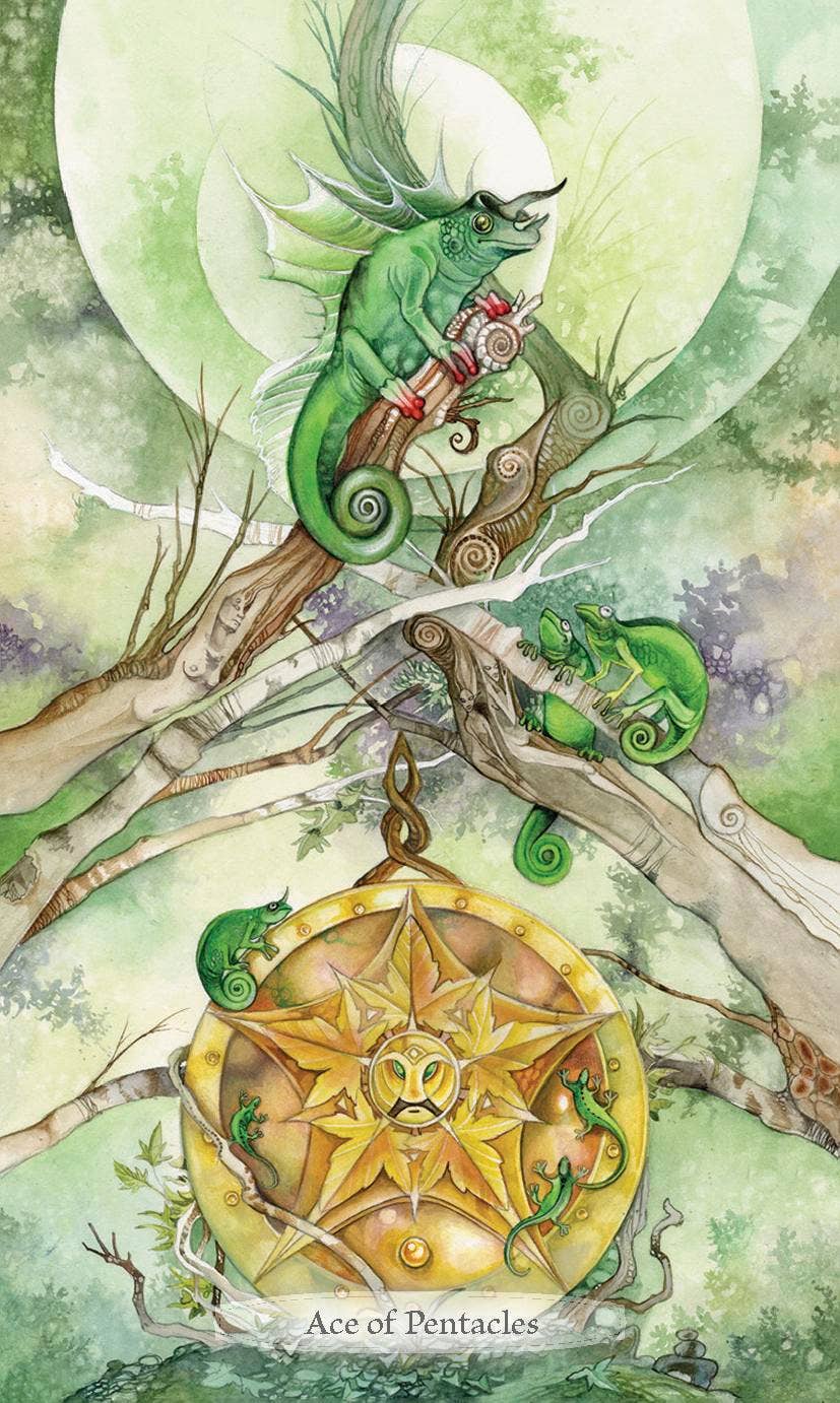 Shadowscapes Tarot Deck: English