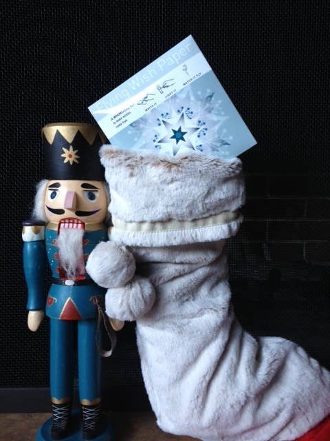 MR. FOX – Wish-Making Kit, Playful Manifest Ritual Mini Kit