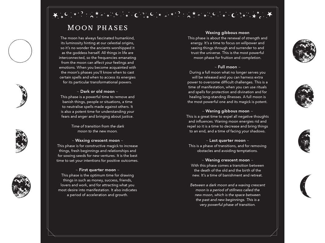 2027 Witch's Diary and Planner Calendar - Northern Hemisphere by Flavia  Kate Peters: Calendar; 160 pages / English