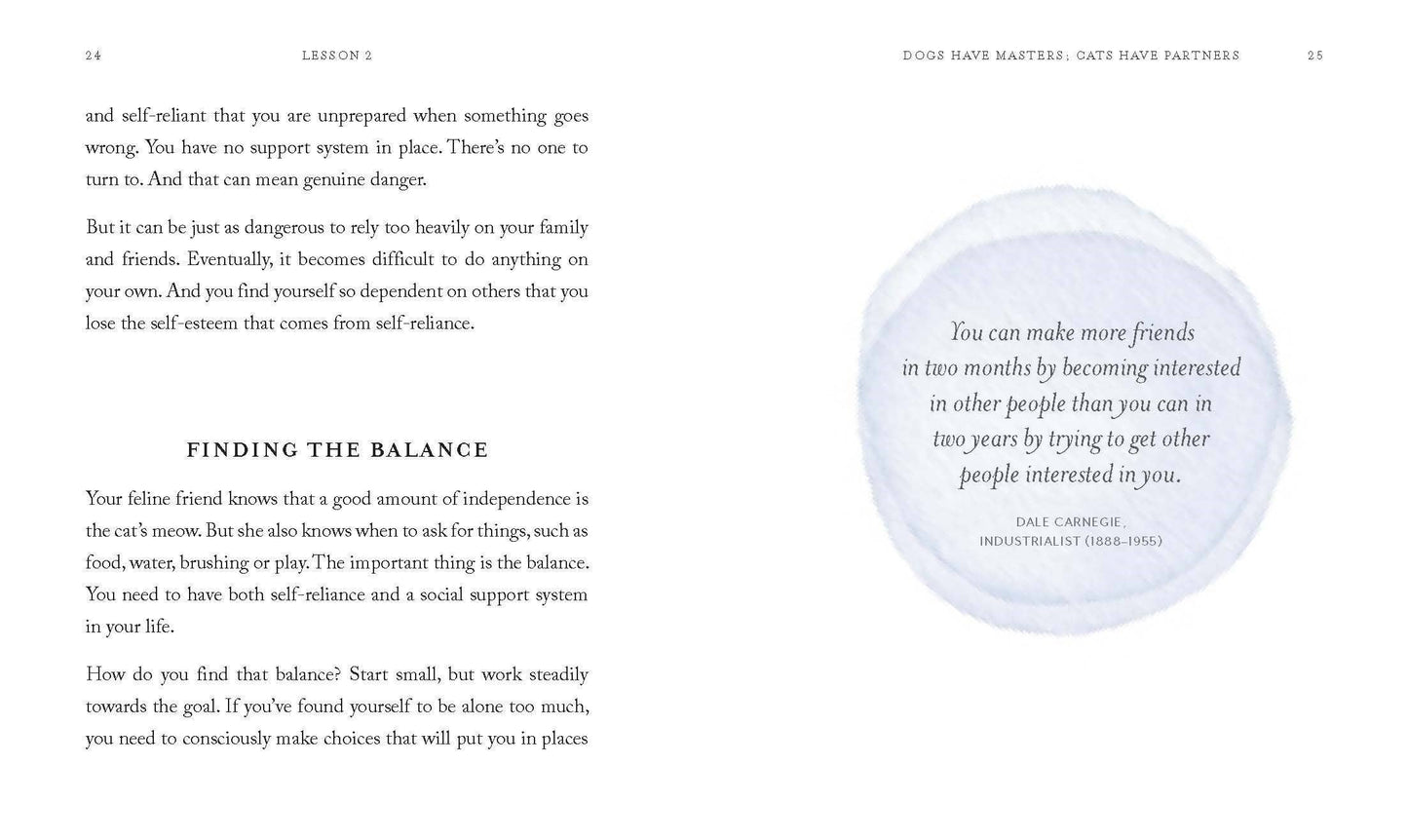 10 Spiritual Lessons You Can Learn from Your Cat: Hardcover