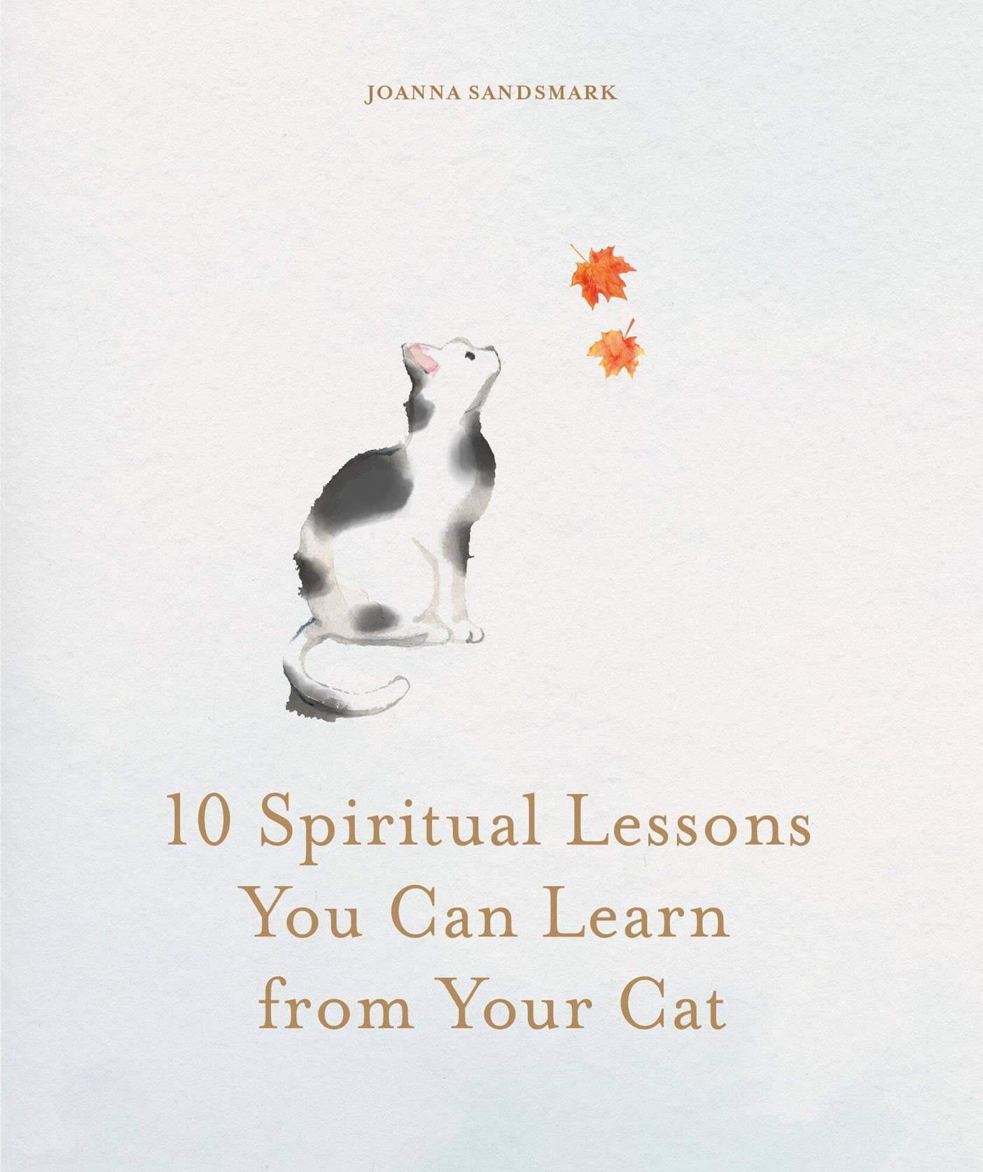 10 Spiritual Lessons You Can Learn from Your Cat: Hardcover