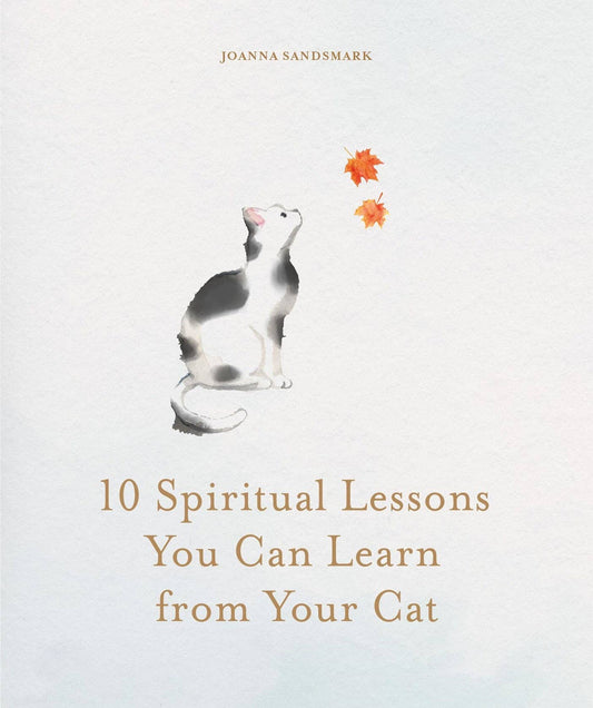 10 Spiritual Lessons You Can Learn from Your Cat: Hardcover
