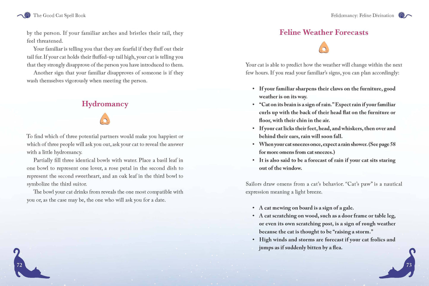 The Good Cat Spell Book (Hardcover)