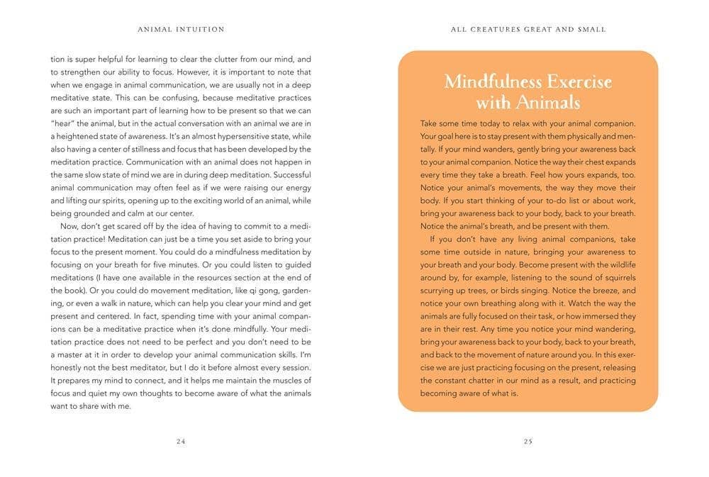 Animal Intuition: Communicating with Pets, Spirits & Energy: Hardcover